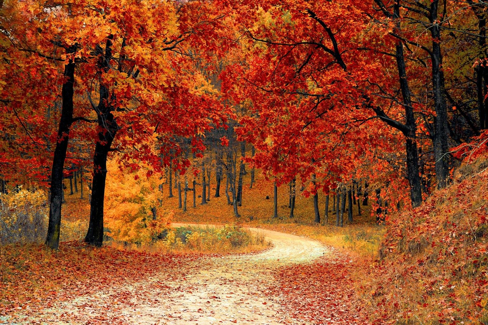 Escapadas en Otoño para parejas románticas