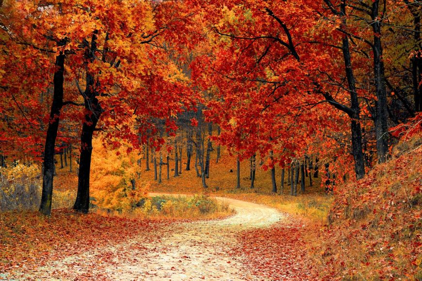 Escapadas en Otoño para parejas románticas