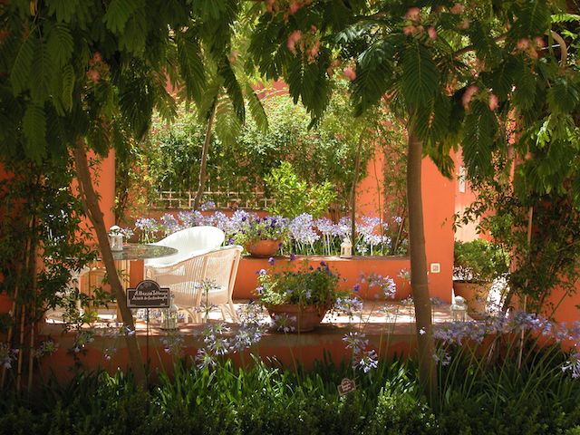 Magia al aire libre