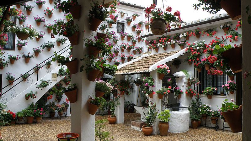 Patios cordobeses