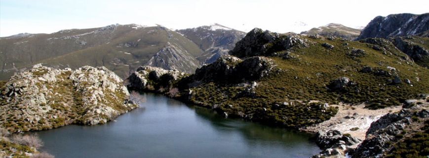Picos indispensables - copy