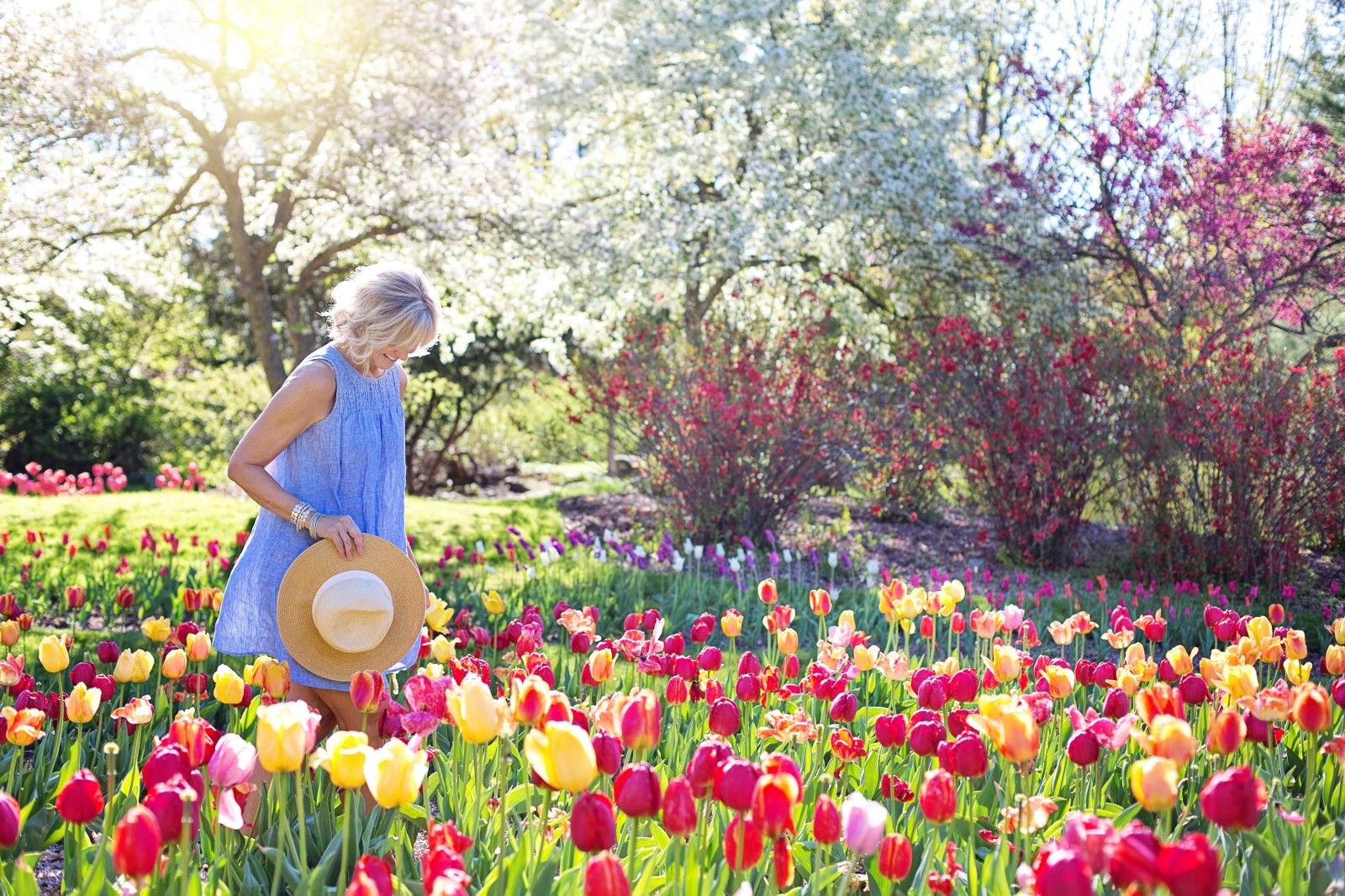 Escapadas de Primavera Hoteles para viajes