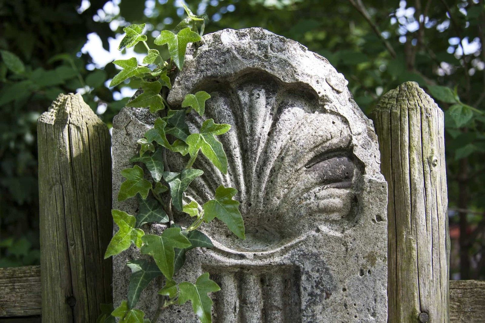 Camino de Santiago Portugués