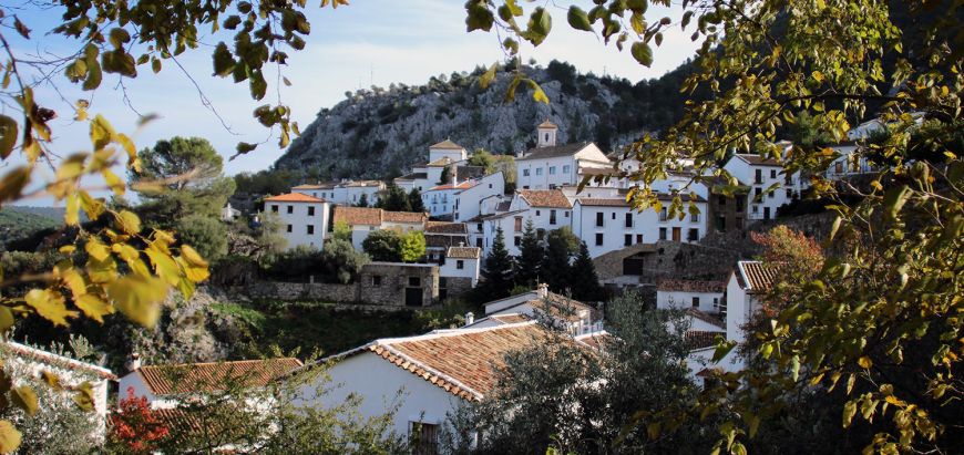 Blanco Al-Andalus - copy