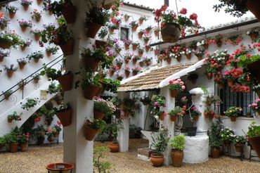 Por los Patios de Córdoba