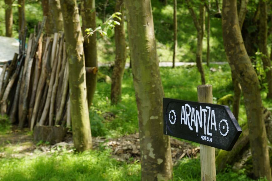 Entre los bosques de Arantza (Navarra)
