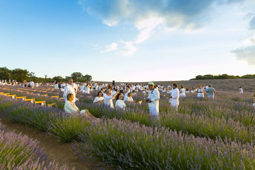 El Festival de la Lavanda (Guadalajara)