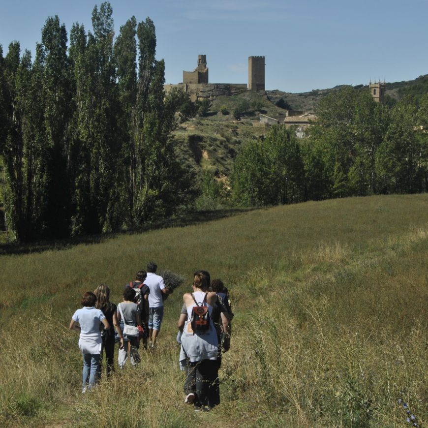Taller de Espliego en Posada la Pastora (Zaragoza)