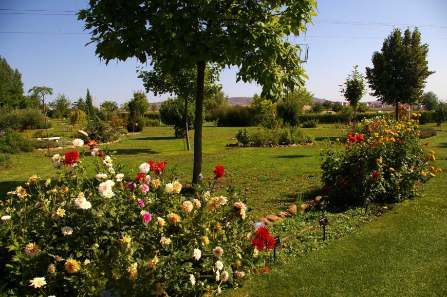 Un paseo por los campos de La Rioja