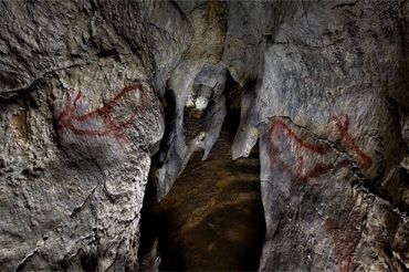 Plan de Verano: Cueva de Covalanas (Cantabria)