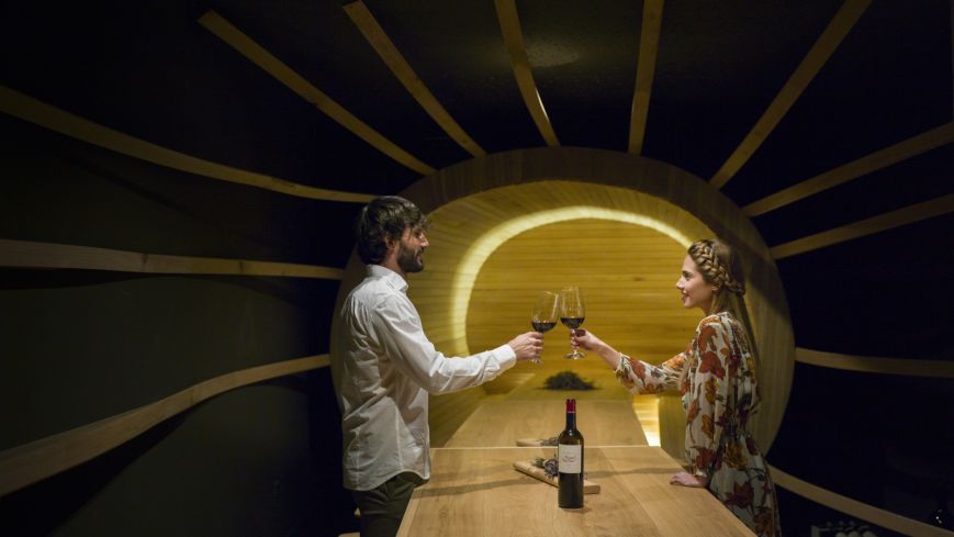 Arantza Hotela 5* (Arantza - Navarra)