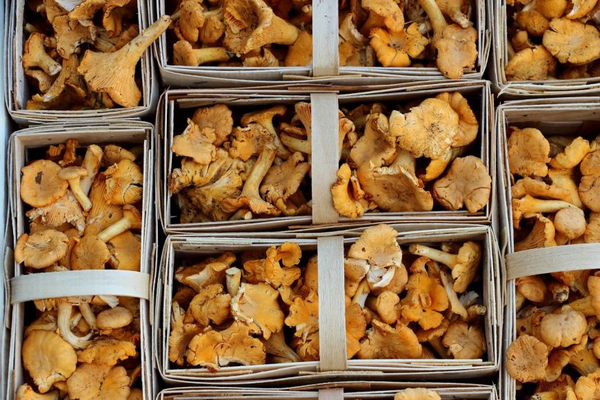 Albarracín, Alojamientos y Gastronomía