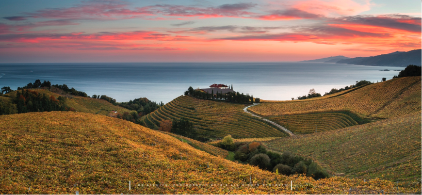 Getaria, Ruta de Txakolí
