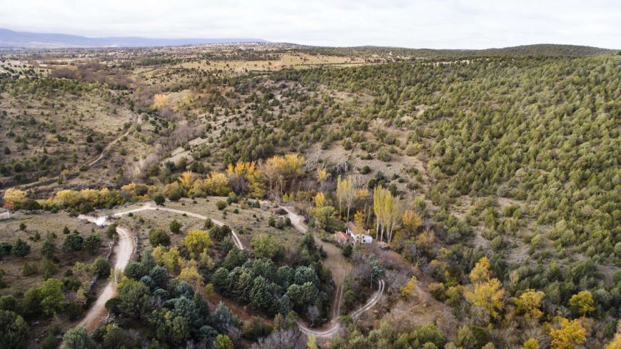 Dónde Dormir en Pedraza: Casa Rural Molino Del Feo
