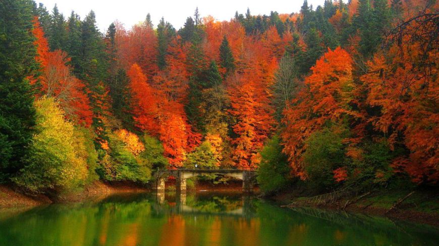 La Selva de Irati (Navarra)