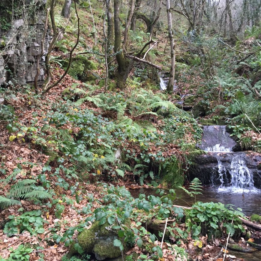 Reserva de la Biosfera de Oscos, Eo y Tierras de Burón (Galicia – Asturias)