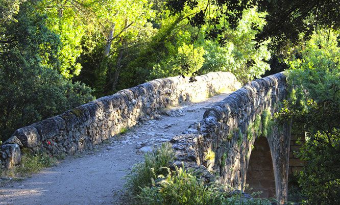 Patrimonio Natural de Sotosalbos
