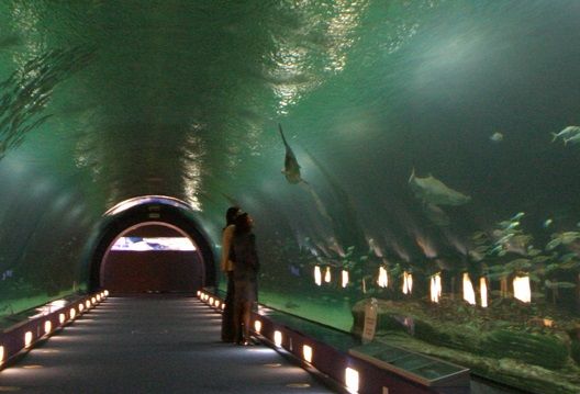 Ciudad de las Artes y las Ciencias