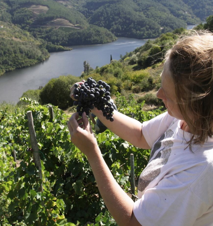 Vinos de la Ribeira Sacra