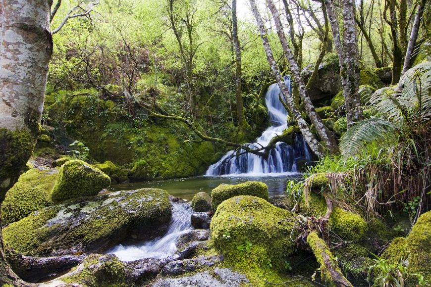 Patrimonio Natural de la Ribeira Sacra