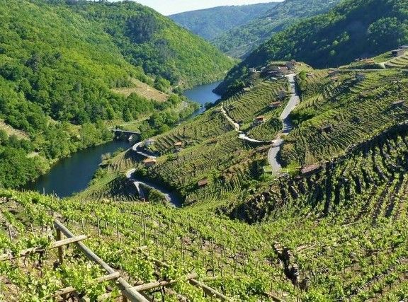 Un poco de historia de la Ribeira Sacra
