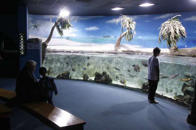 THE AQUARIUM OF GIJÓN: SUBERMERGE IN THE UNDER WATER WORLD!