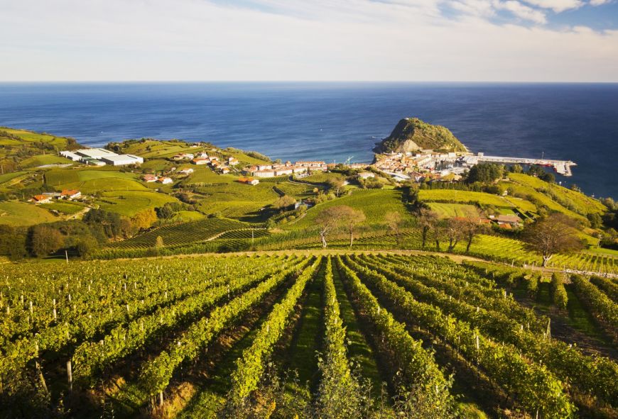 La Ruta del Txakoli