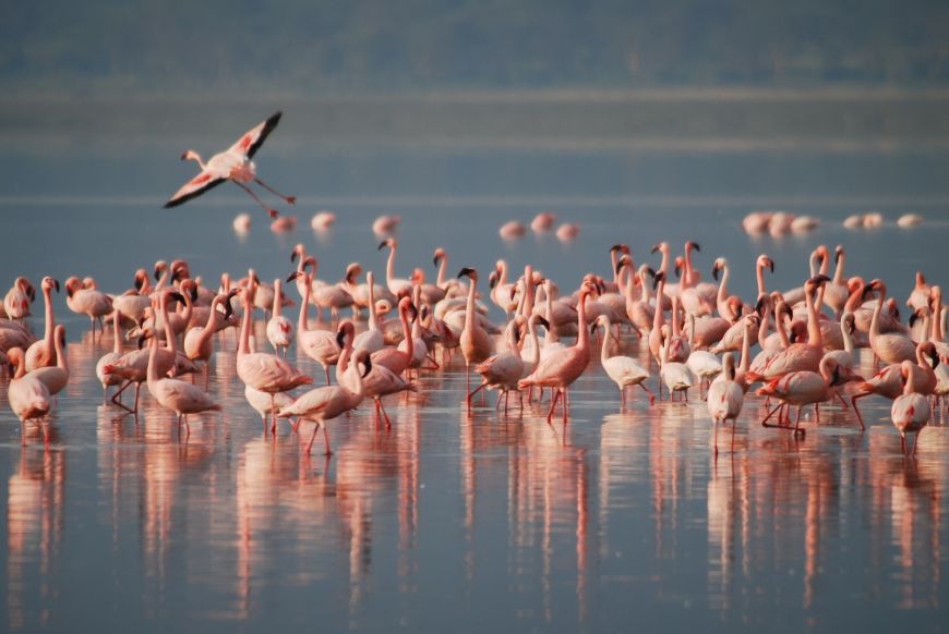 Paisajes en Parque Nacional de Doñana