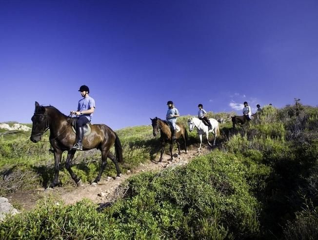El Camí de Cavalls