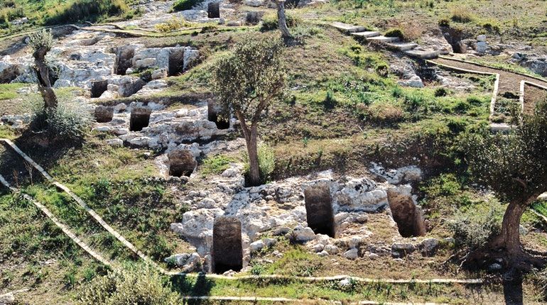 1. PATRIMONIO