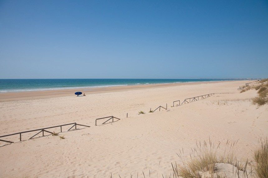 PLAYA DEL PALMAR (VEJER DE LA FRONTERA, CÁDIZ)