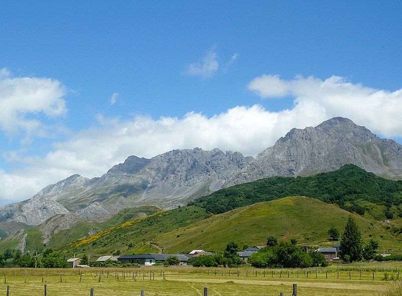 8. Babia