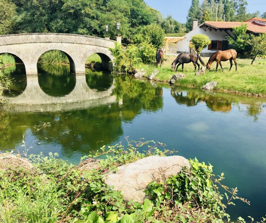 Plan para San Valentín: Un cocido de lo más romántico en Galicia