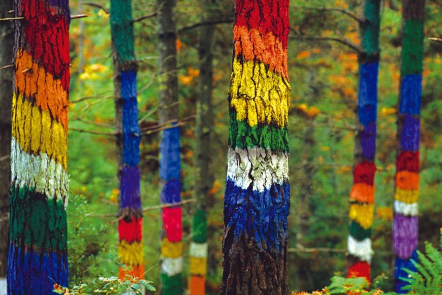 Bosques encantados