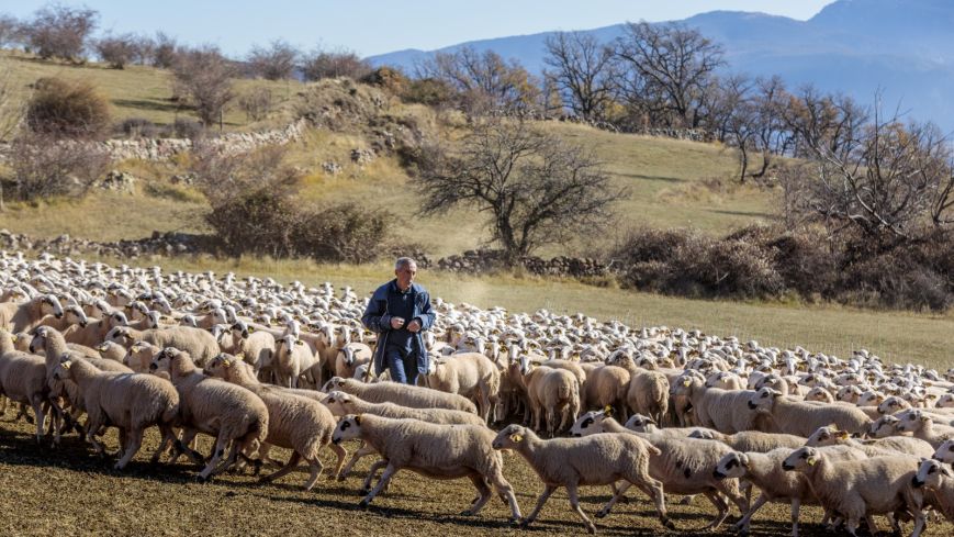 Casa Parramon, el alojamiento rural dentro de una villa cerrada