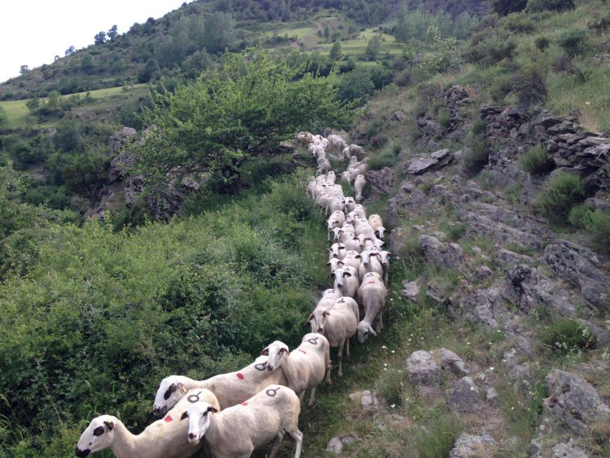 Cal Roset, una casa con grandes vistas en el Valle de Àssua