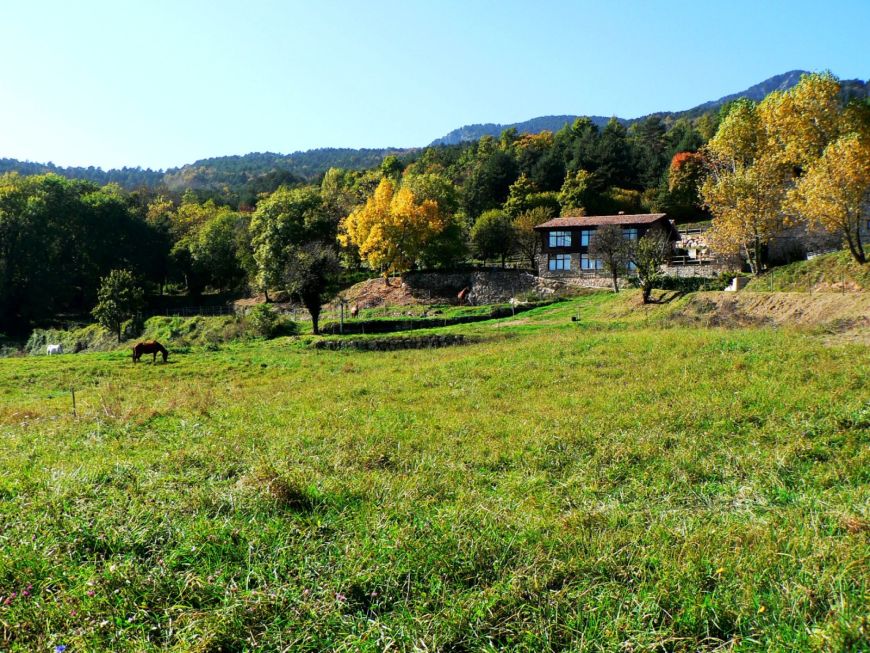Caballos de competición en el Cobert de Vilaformiu