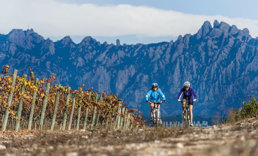 El enoturismo sostenible de Mas Llagostera