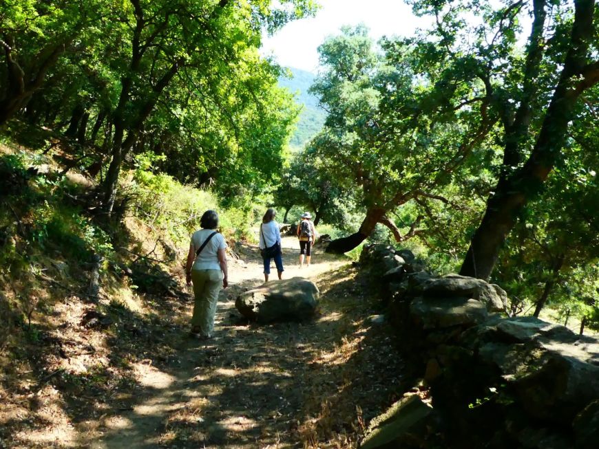 Paisatges Barcelona