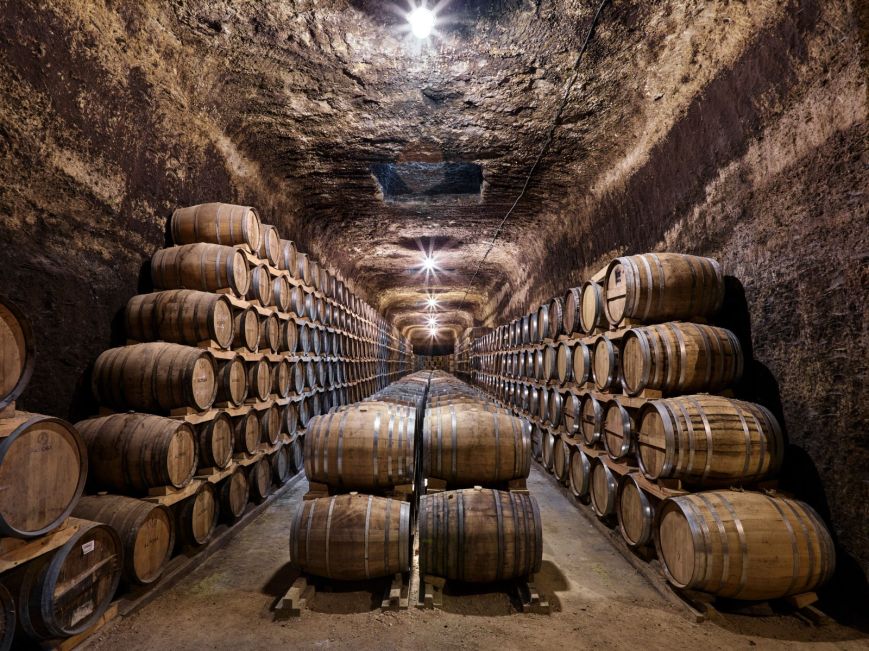 Ciudad Real, tierra de vinos