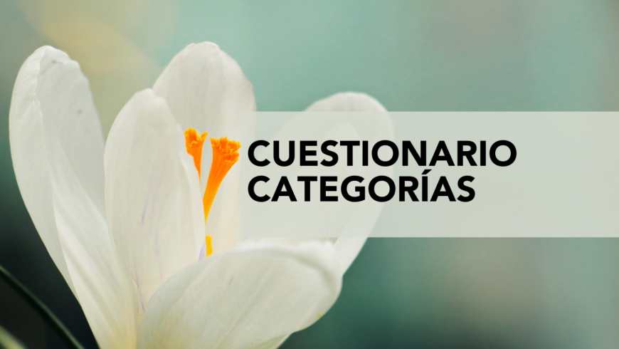 Nuevas categorías Rusticae