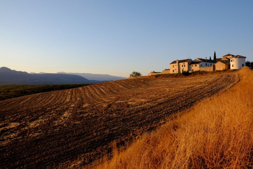 5x4 - Hotel Cortijo del Marqués
