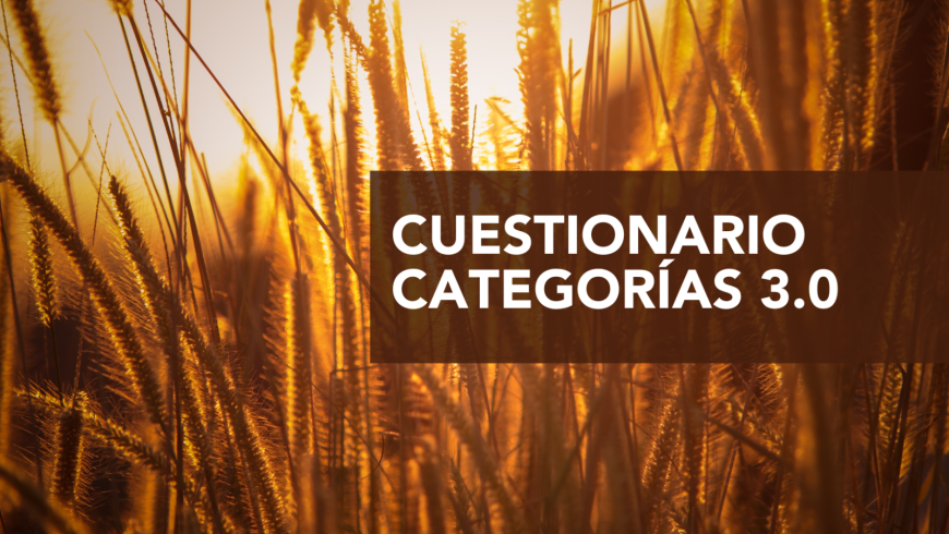 Nuevas categorías para alojamientos
