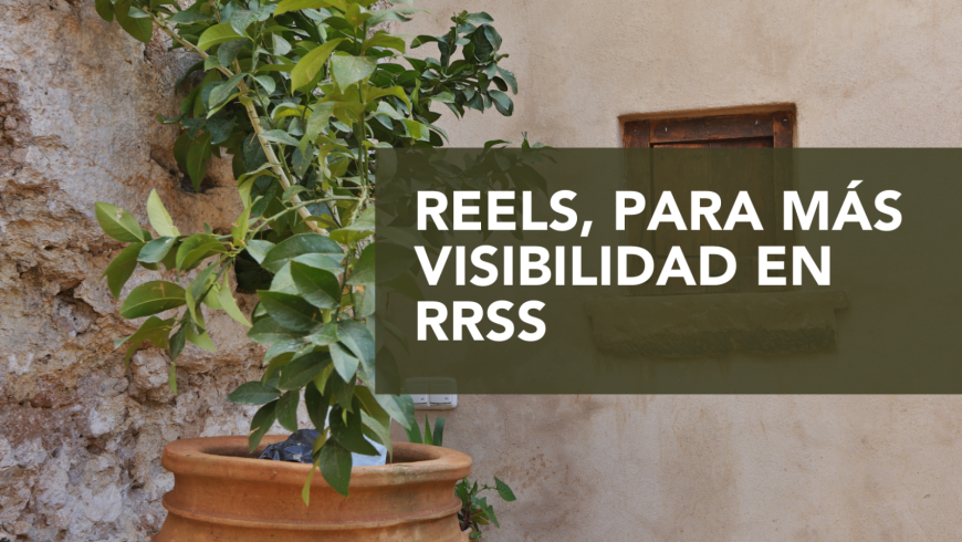 ¡Los Reels siguen subiendo!