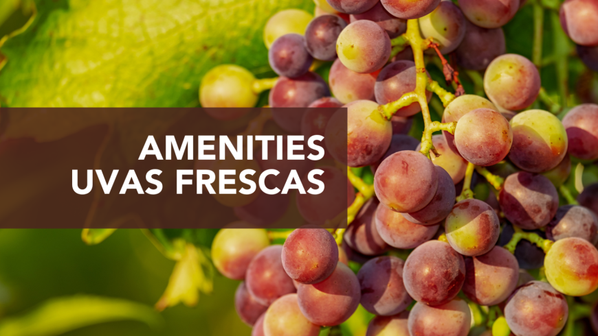 Amenities Rusticae & Uvas Frescas