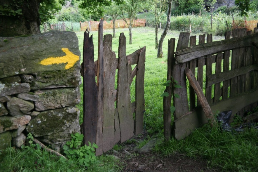 Episodio 49 - Galicia