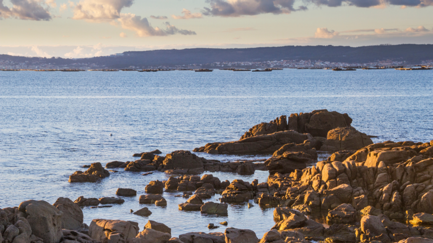 Descubre las Rías Baixas más auténticas (Quinta de San Amaro, Pontevedra)