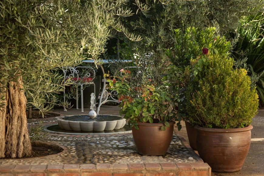 Encuentros para Personas Altamente Sensibles: conexión y bienestar (Beautiful Alamedas, Valladolid)