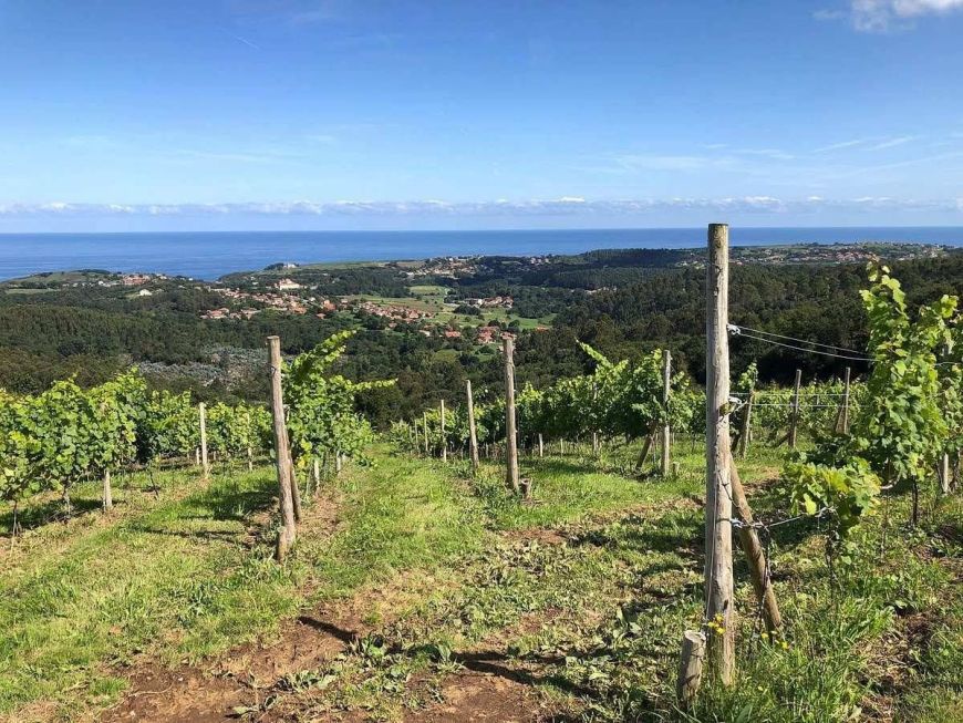 3. Helguera de Reocín (Cantabria) – El sabor de lo rural